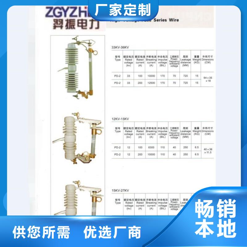 高压熔断器_RW12-10/100A本地生产商