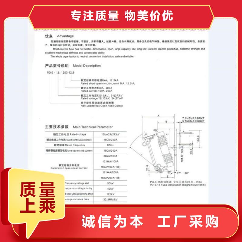 【南阳】跌落式熔断器HRW11-12-100A