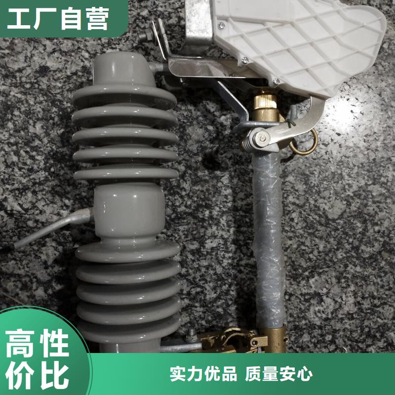 陇南-防风型跌落式熔断器HPRWG1-35-100A