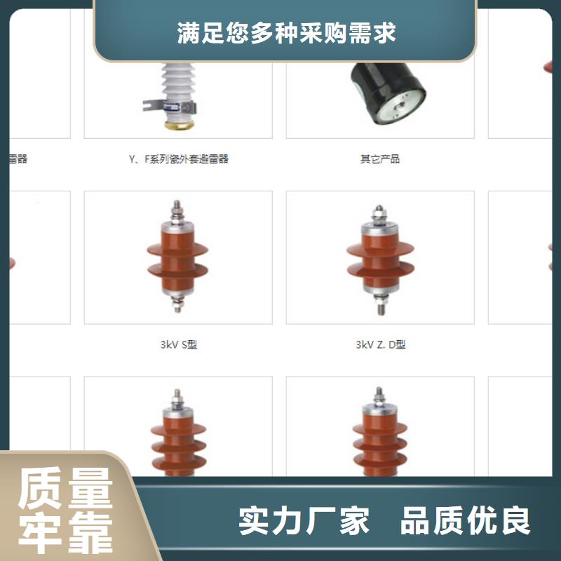 【】高压熔断器-PRW12-24/100A好品质用的放心