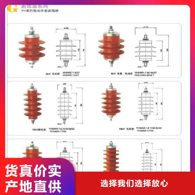 【避雷器】YH10W5-192/500GY-浙江羿振电气有限公司专业按需定制