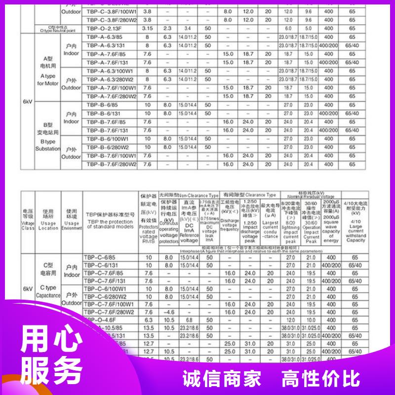【过电压保护器】TBP-A-12.7/85-J严选材质