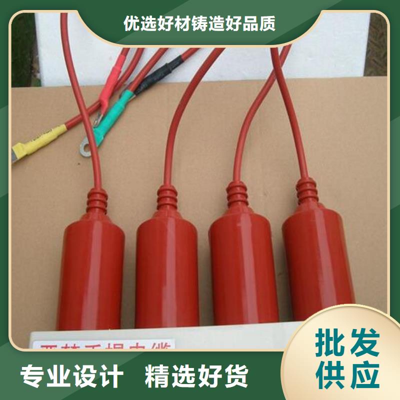 【漳州】TBP-Y-A/10-F组合过电压保护器