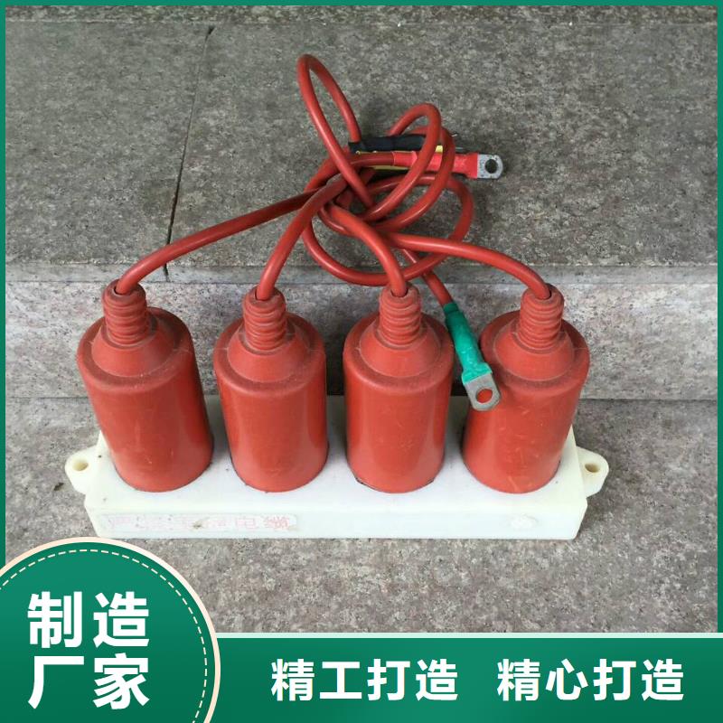 【大庆】TBP-W-O/10-F组合过电压保护器