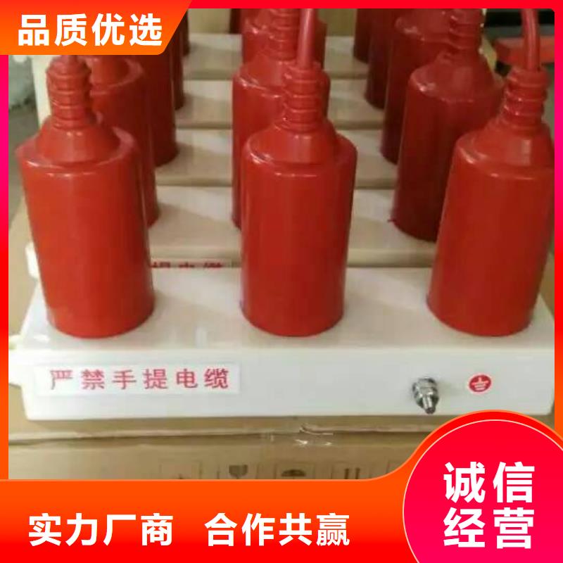 【红河】过电压保护器(组合式避雷器)YH5WD-13.5/38.7*13.5/31.0