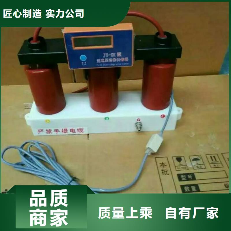 【】过电压保护器(组合式避雷器)TBP-C-35/310源厂供货