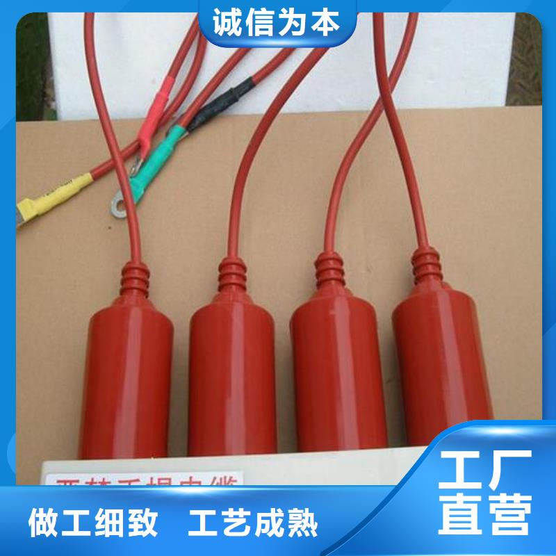 【浙江】过电压保护器高压组合式避雷器BWKP-B-7.6/131