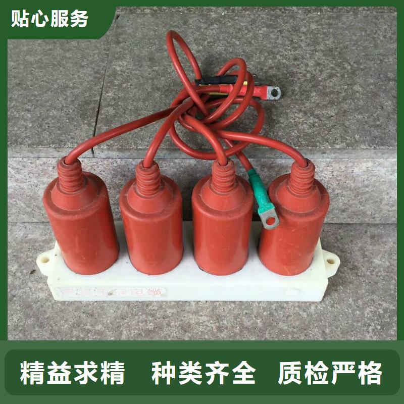 【黄南】过电压保护器(组合式避雷器)YH2.5WD-8/23.3*8/18.7
