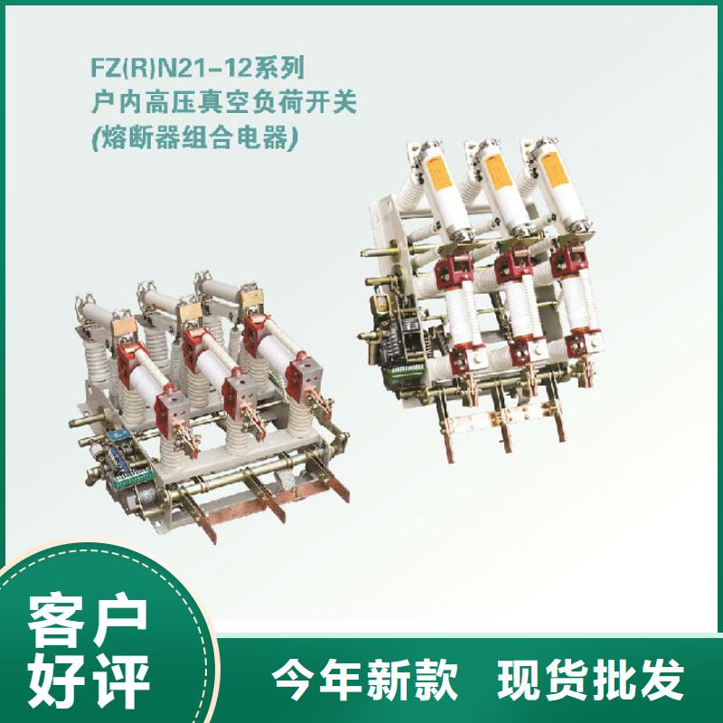 【常德】FZRN25A-12D/T125-31.5高压负荷开关