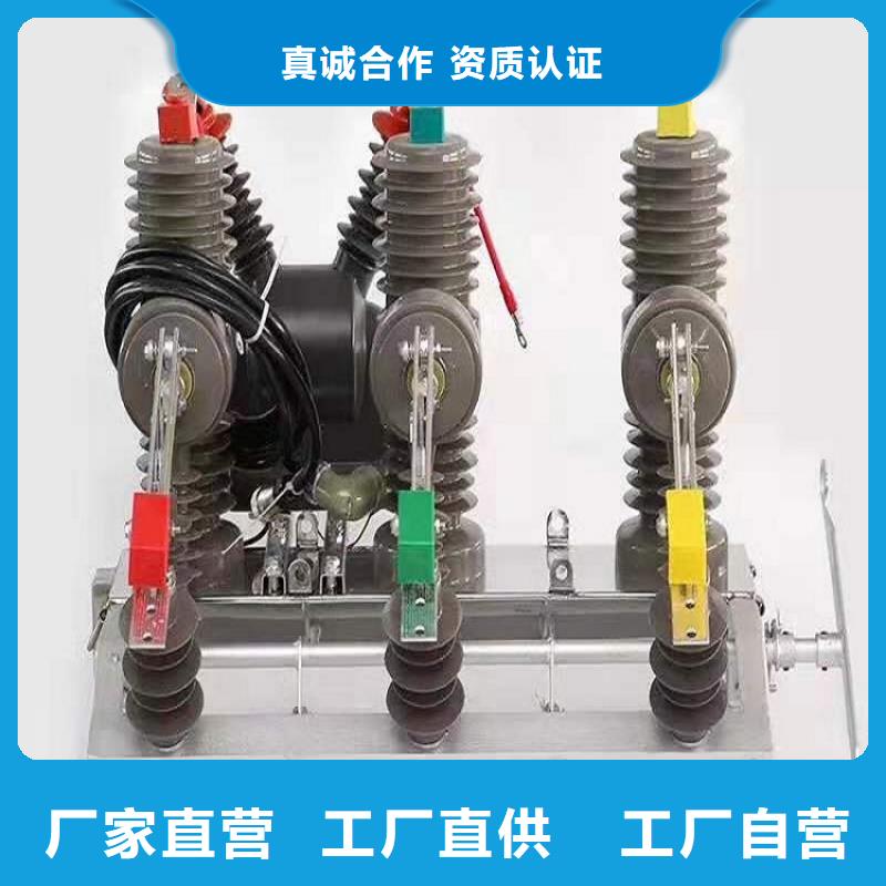 品牌【羿振电气】高压断路器ZW32-12FG/T630-20本地生产厂家