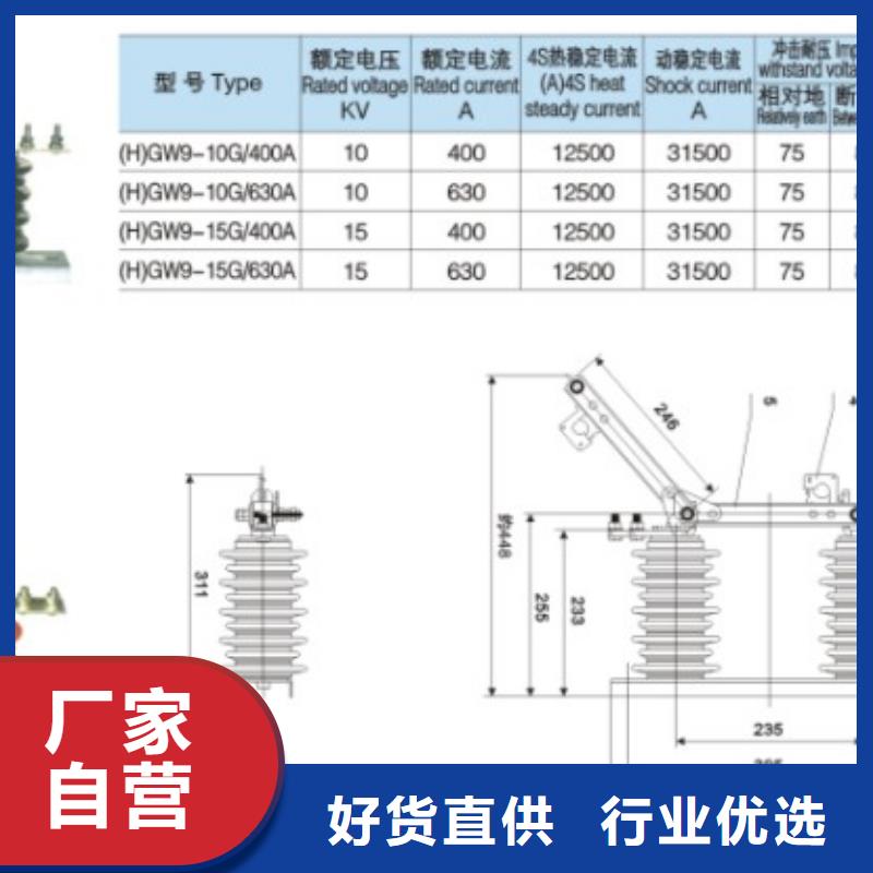 【户外高压隔离开关】HGW9-12KV/1250A实体厂家支持定制
