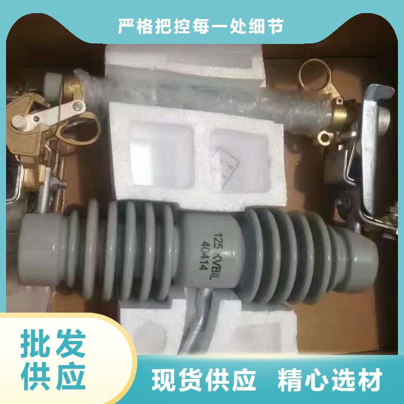 【高压熔断器】出口型瓷瓶跌落保险DG-2-15/100A附近生产商