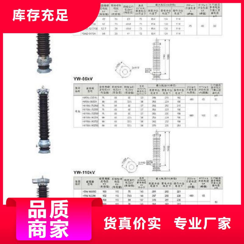 避雷器Y10W1-96/232浙江羿振电气有限公司同城生产商