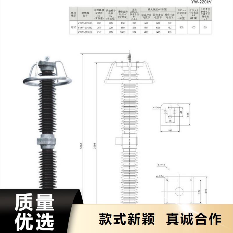避雷器Y10W-108/281浙江羿振电气有限公司本地制造商