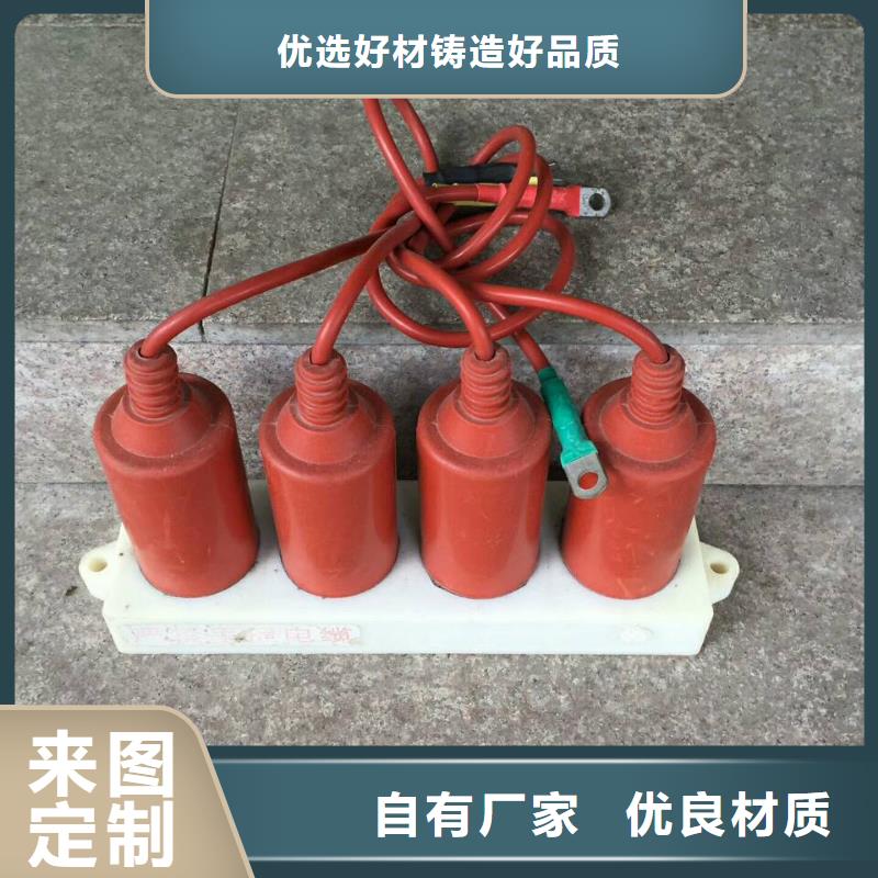 【广元】过电压保护器(组合式避雷器)YH5WZ-51/150*51/134