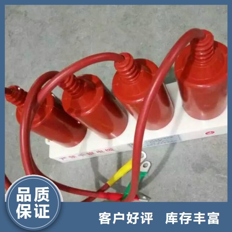 【岳阳】RY-GDY2-A/10组合过电压保护器
