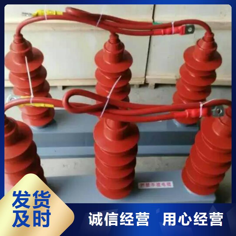 羿振电气牌：TBP-Y-A/35-T组合过电压保护器-过电压保护器 避雷器生产厂家