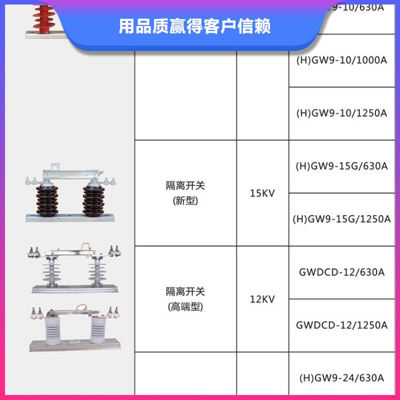 【六盘水】品牌：羿振 10KV单级隔离开关HGW9-12G/400
