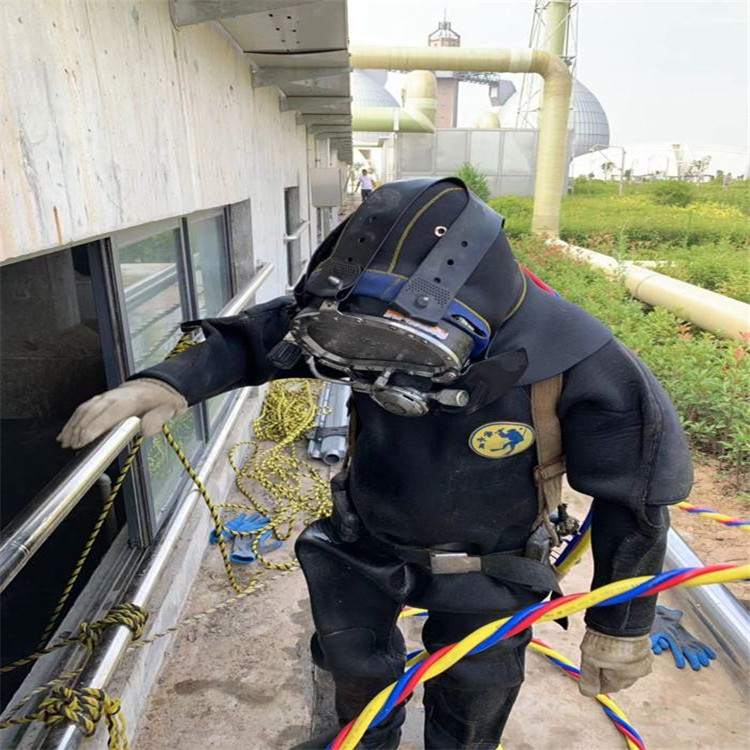 衡阳市蛙人打捞队-本地水下打捞救援队伍