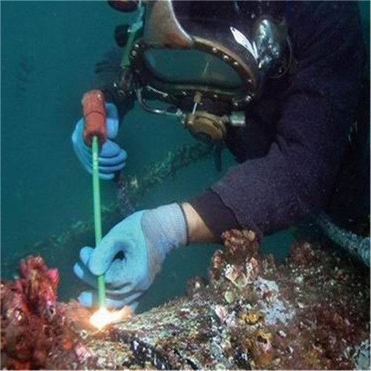 宁波市打捞队 本地全市专业潜水打捞救援