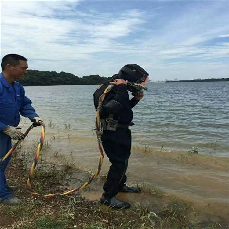 宝应县蛙人打捞服务 承接各类水下作业及打捞
