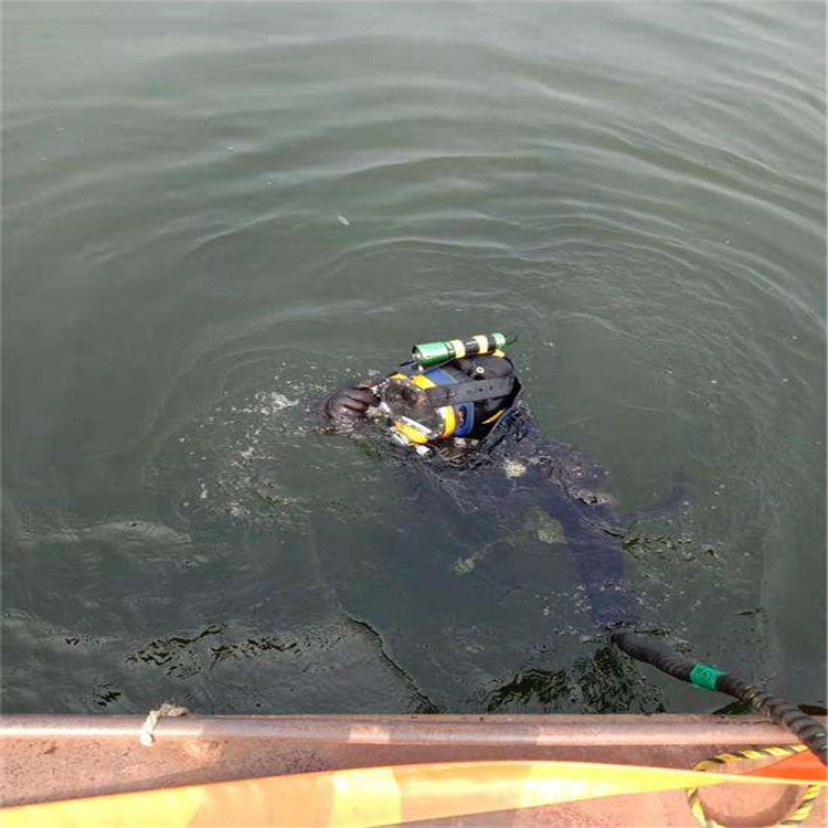 湖州市蛙人打捞队-水下打捞服务