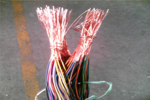 盐城BP-VVPP2-变频器电缆现货直供3X50+2X25实力大厂家