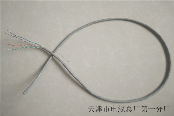 亳州专业销售ZRHYA 100X2X0.5阻燃通信电缆-放心