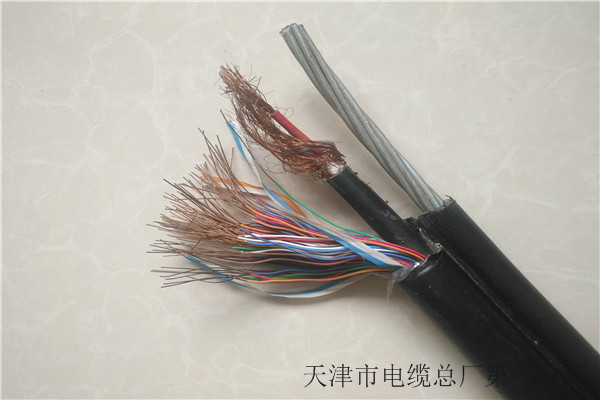 厂家直销HPVV20X2X0.5通信电缆直销技术参数本地品牌