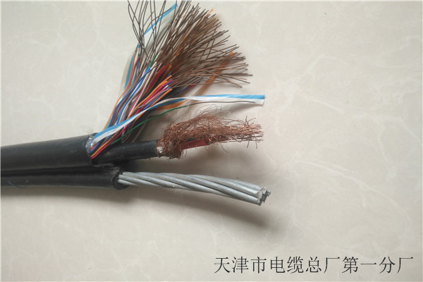 专业销售STP-1202X0.5双绞通讯电缆-省钱长期供应