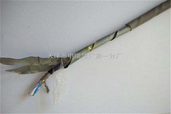 台州阻燃变频电缆价格3X25+3X16