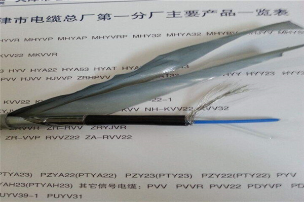 VV22铠装聚氯护套电缆品质商家自有厂家