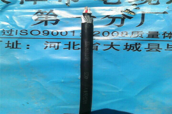 天津市电缆总厂第一分厂DJYP2V50X2X0.75（现货）合作案例多厂家货源