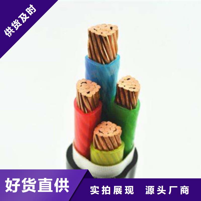 专业销售RS2323X1电缆结构-保质当地厂家