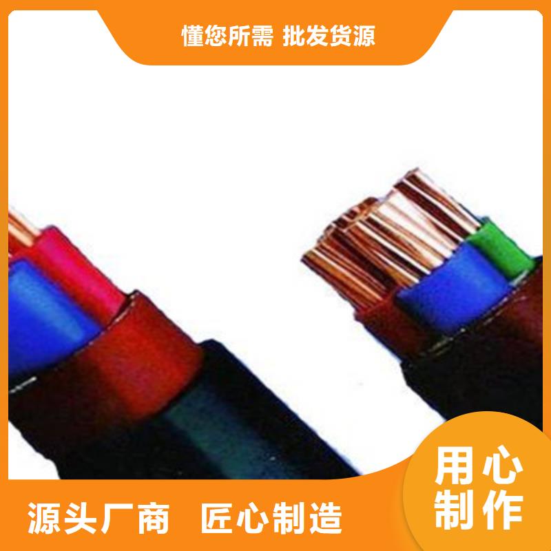 ZR-HL-IA-JYPVP阻燃屏蔽电缆现货现发产品细节