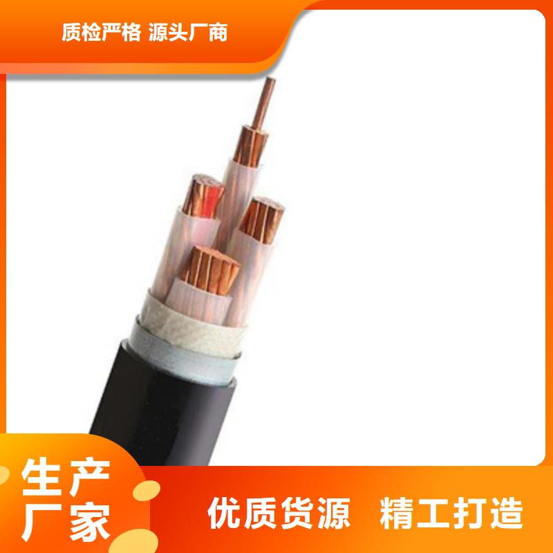 生产DW-ZR-REE2X0.5低烟无卤电缆的实体厂家大厂家实力看得见
