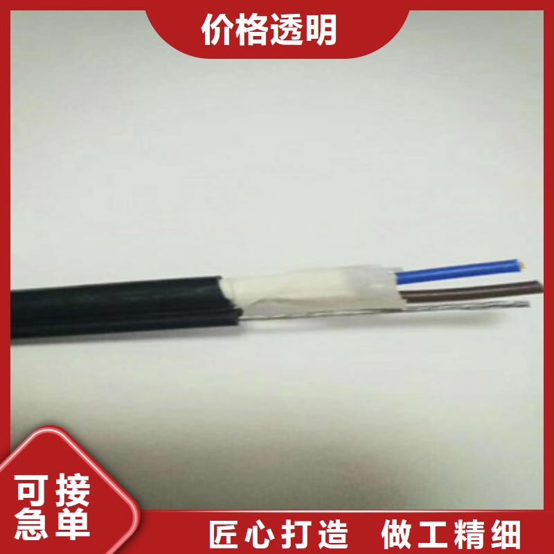 找djypv22计算机电缆加工认准天津市电缆总厂第一分厂附近供应商