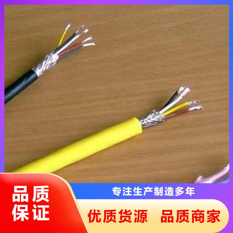 铠装计算机电缆WDZ-HYYDP23-FY图片优良材质