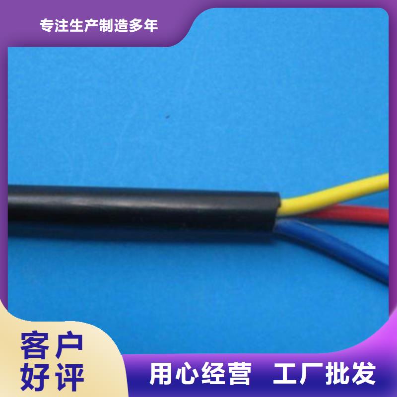 诚信供应铠装计算机电缆WDZ-HYYDP23-FY的厂家优质工艺