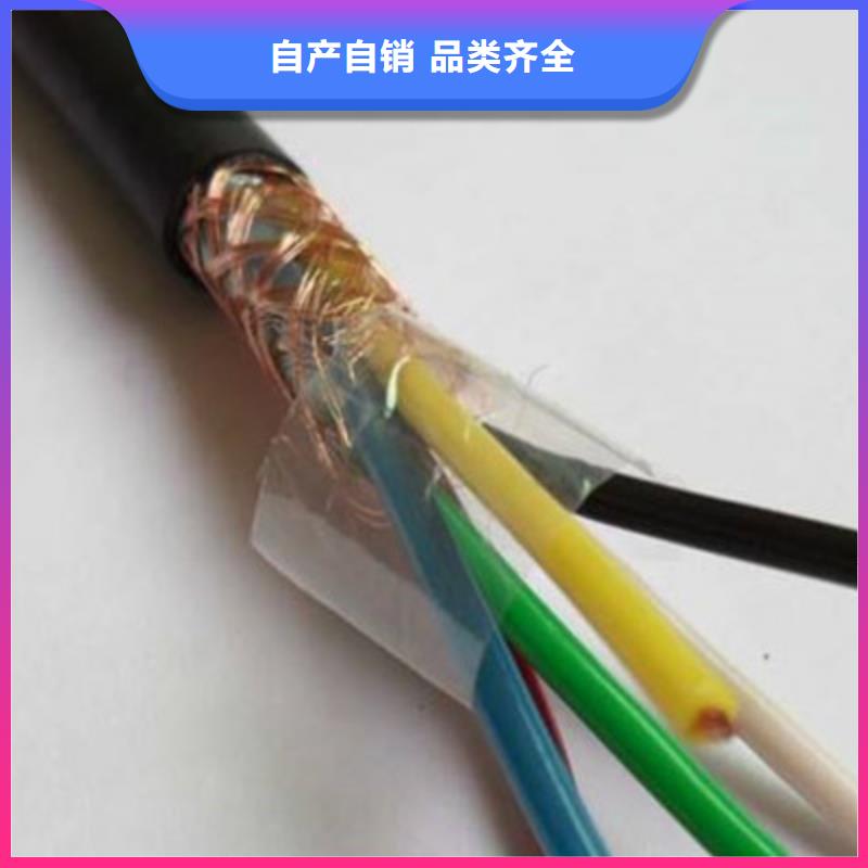 优选耐高温计算机电缆DJFPFP24X1.0极速发货