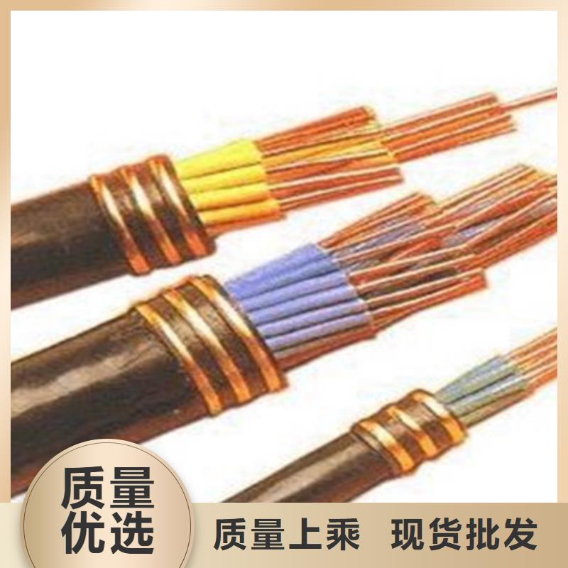 天津市电缆总厂第一分厂RVSP2X1.0屏蔽对绞通讯电缆价格低交货快高品质诚信厂家