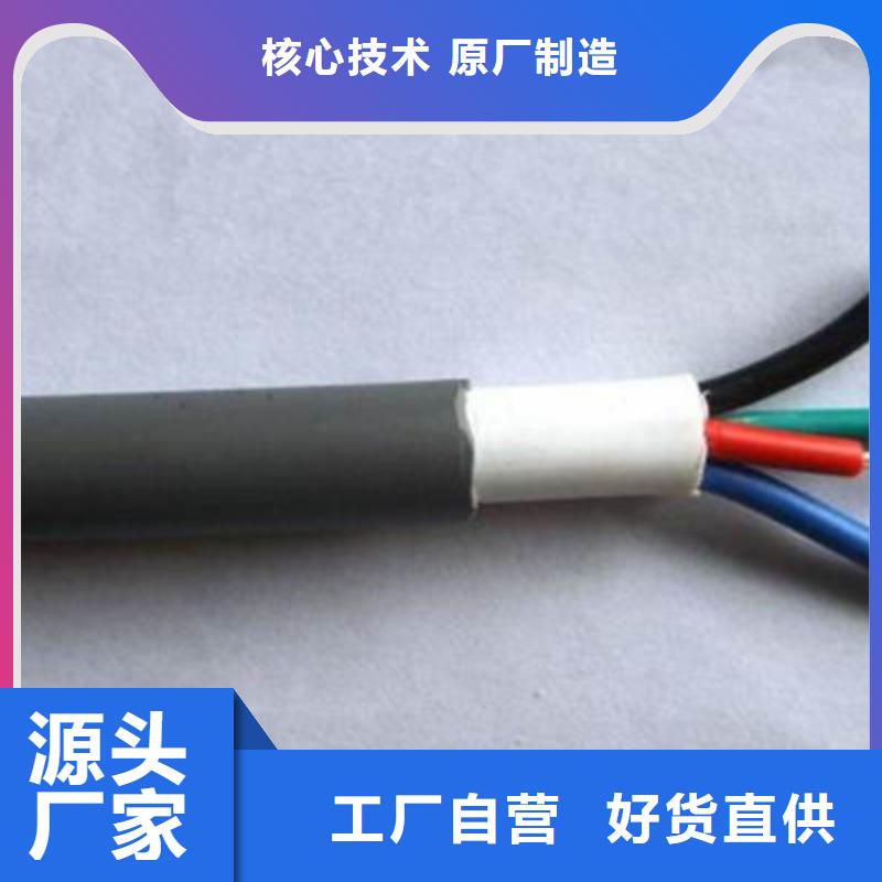 天联牌ZR-RVSP324X1.0铠装电缆生产厂家欢迎咨询订购厂家规格全