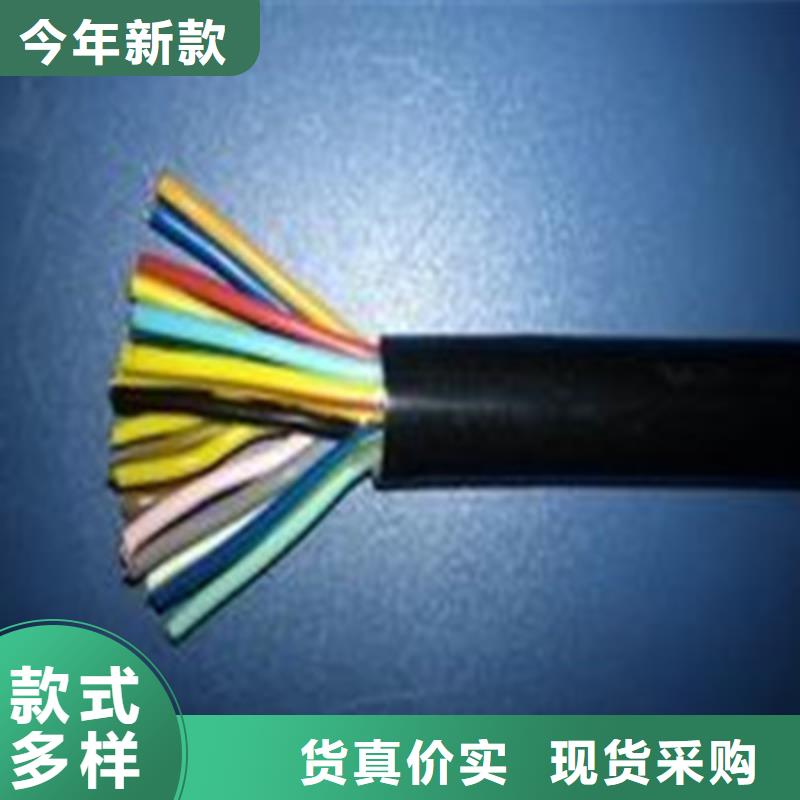 琼中县RVVP3P6X0.5屏蔽电缆就近仓库发车厂家大量现货