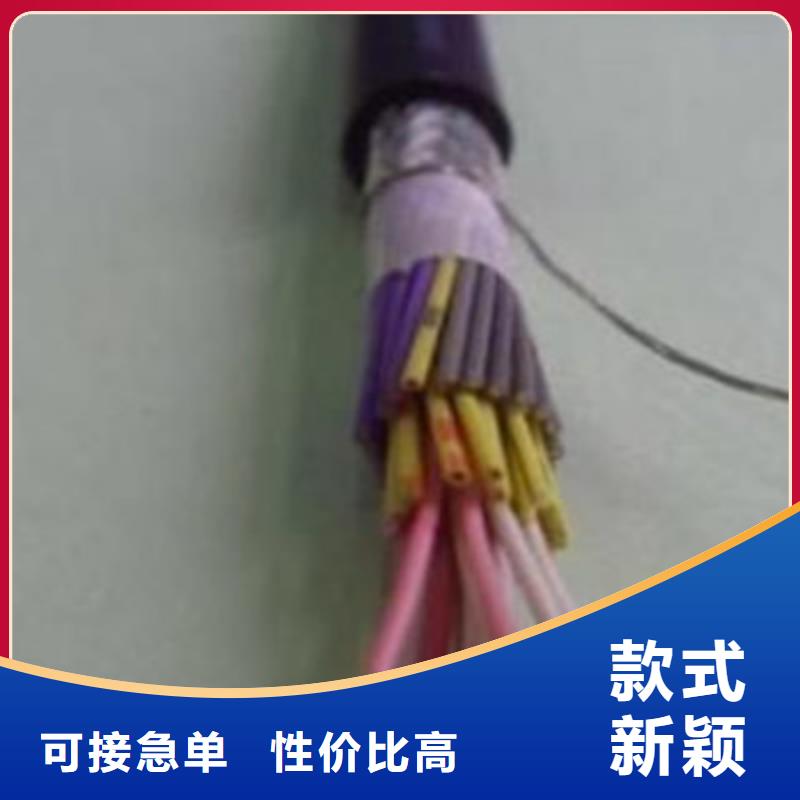 屏蔽对绞通讯电缆2X0.75每米价格可靠满意厂家拥有先进的设备