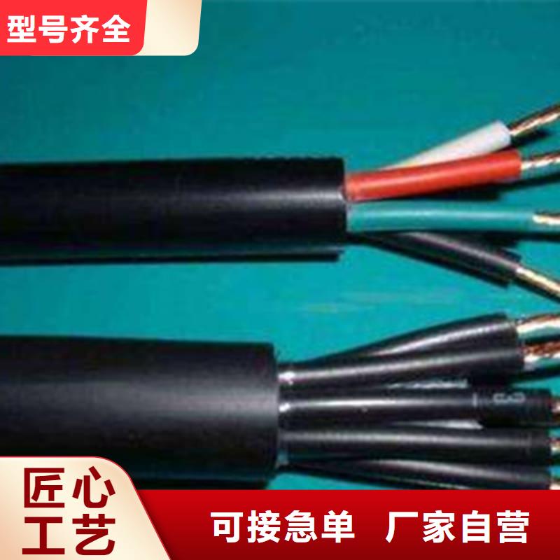 扬州DJYVRP 4X2X1.0计算机专用电缆货真价实