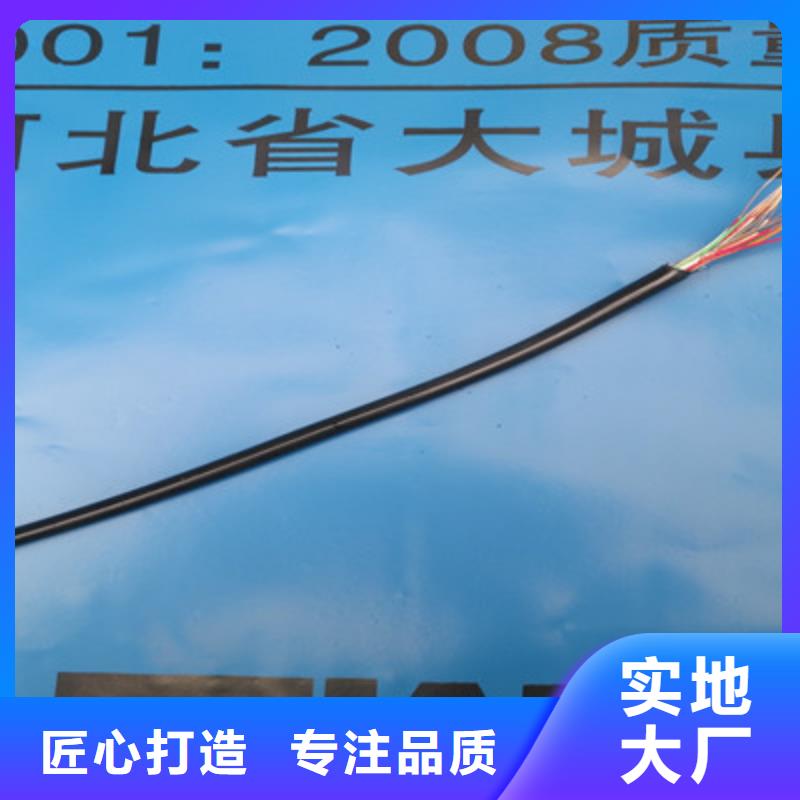 CC-LINK FANC-SB紫色通讯电缆曲靖10X0.2