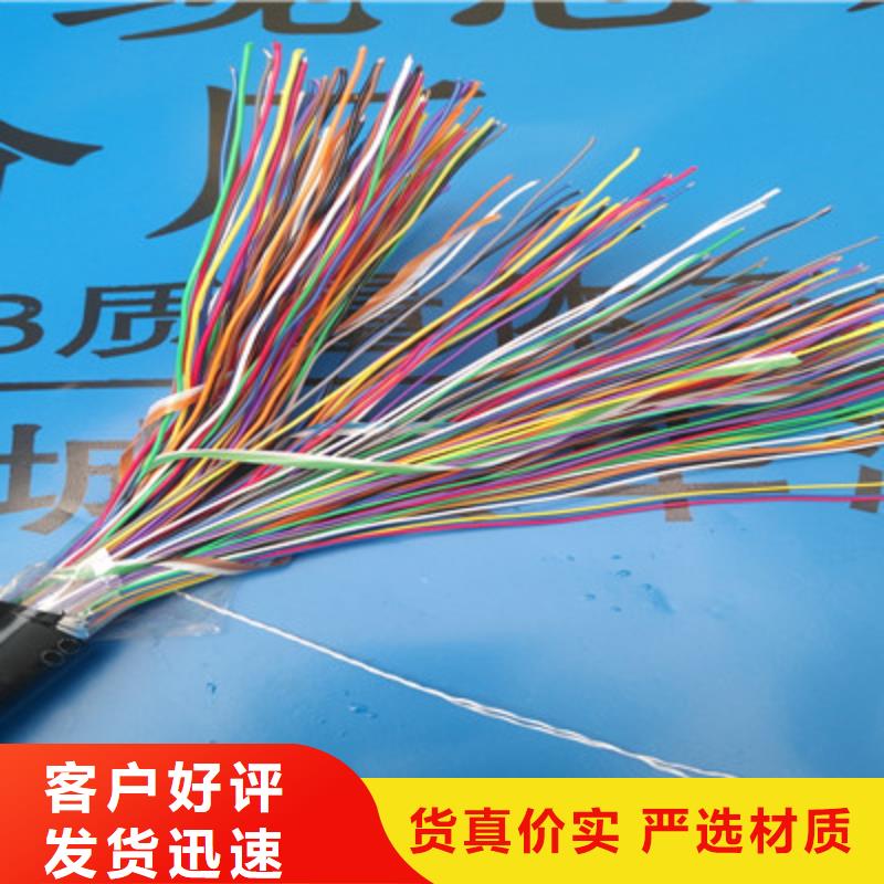 CAN-DW-RS485/92特种电缆生产基地颜色尺寸款式定制