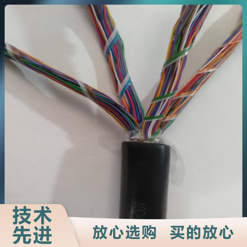 阳江ZR-FB-HPVP阻燃通讯电缆实体大厂