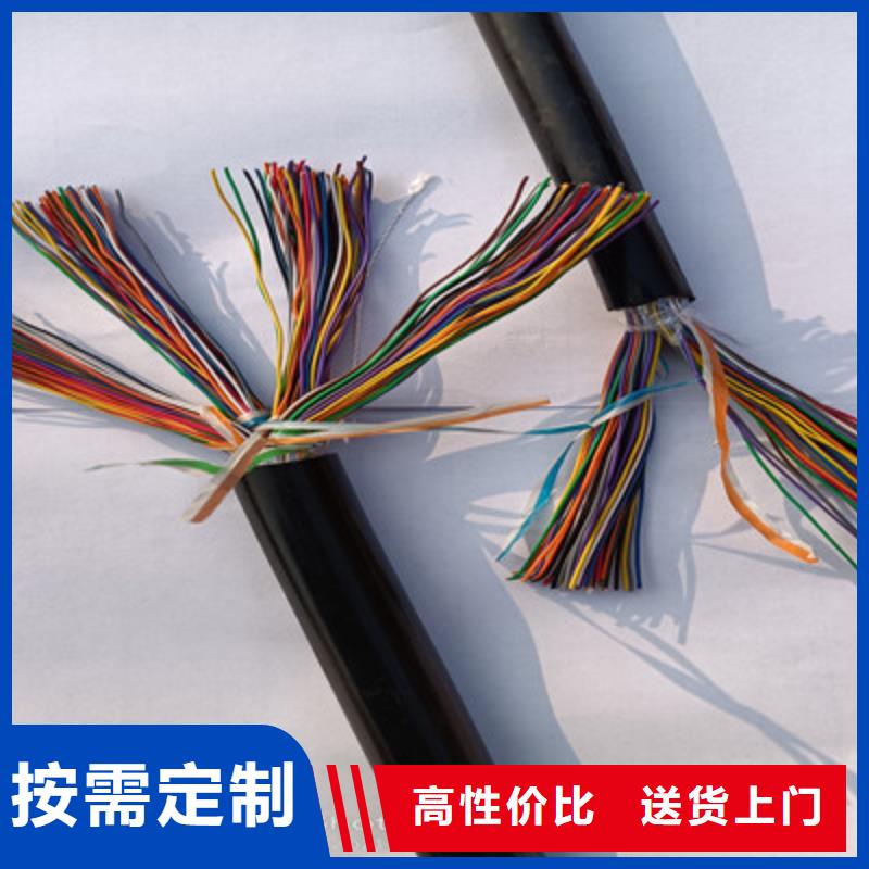 HAPVPSX双绞通讯电缆1X0.3当地生产商
