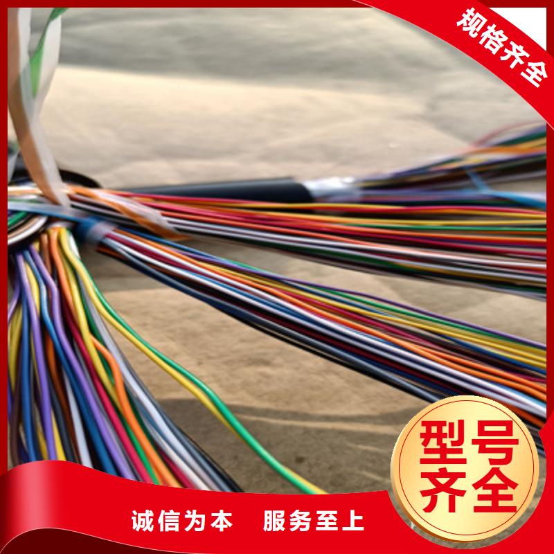 安庆CAN -BUS通讯线缆可定制